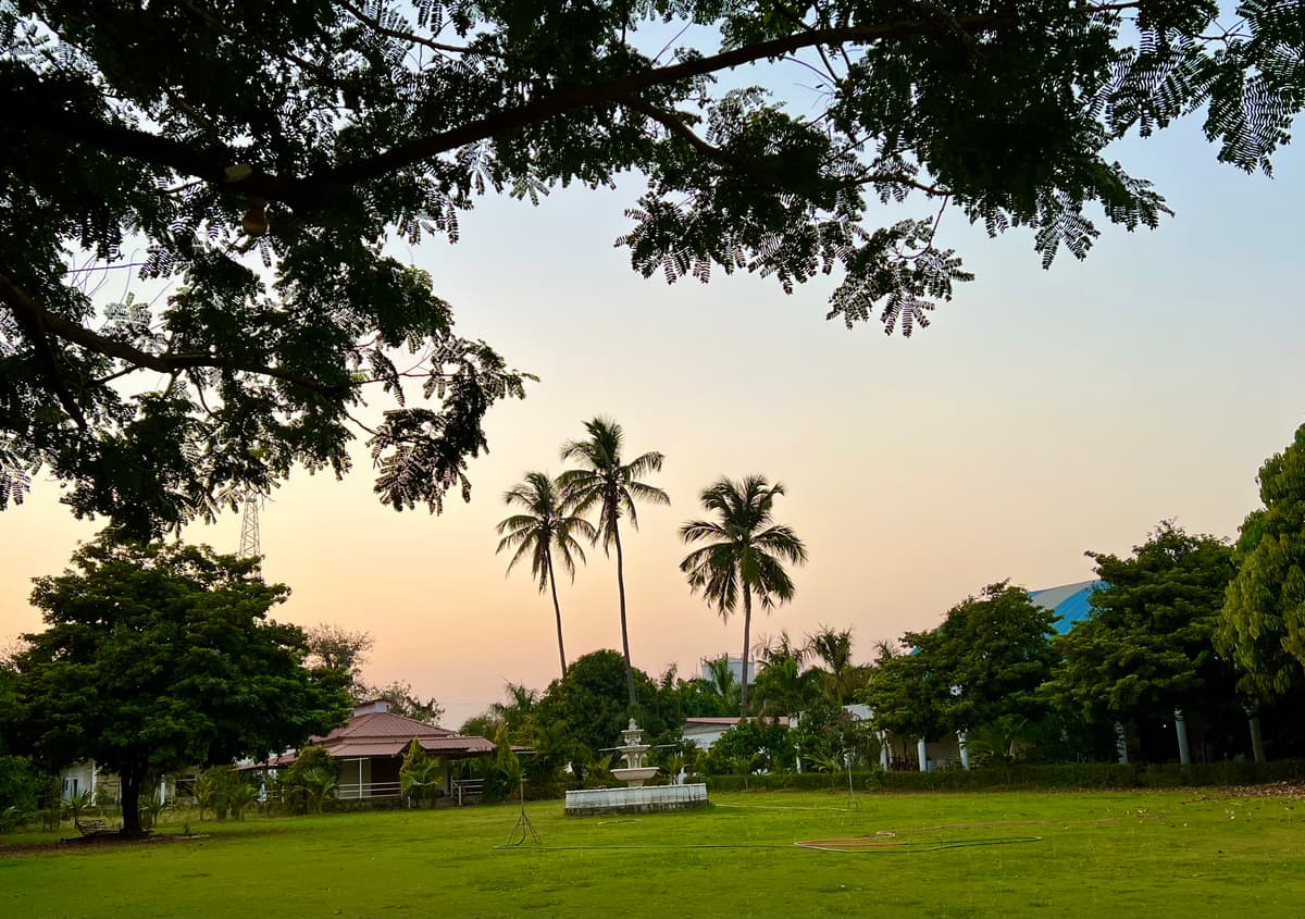 The lawn at Tapovan at dusk: three tall coconut palms against a peach sky, a white fountain, a red-roofed cottage, and the branch of a large tree overhead.